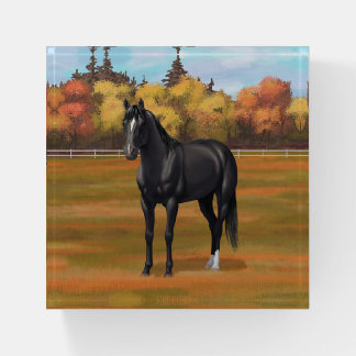 Beautiful Black Quarter Horse Stallion Paperweight