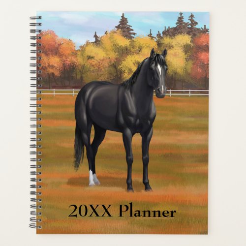 Beautiful Black Quarter Horse Stallion Planner