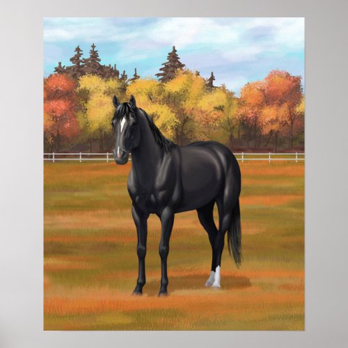 Beautiful Black Quarter Horse Stallion Poster