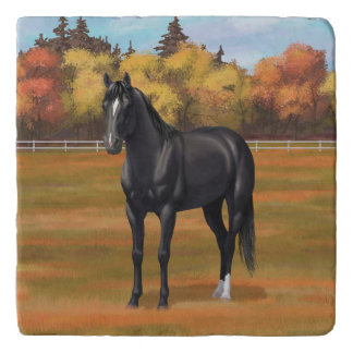 Beautiful Black Quarter Horse Stallion Trivet