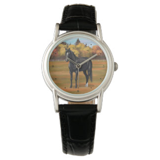 Beautiful Black Quarter Horse Stallion Watch