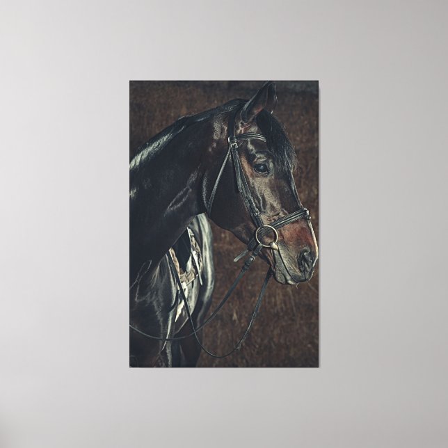 Beautiful Black Stallion Horse Canvas Print (Front)