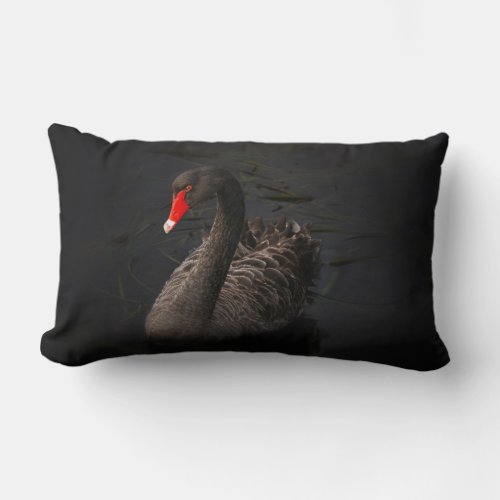 Beautiful Black Swan Floating on a River Lumbar Pillow