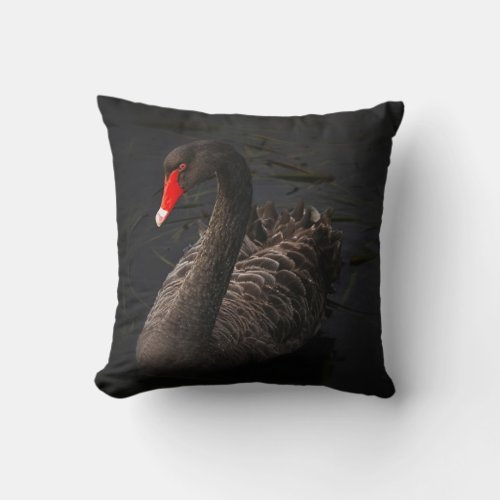 Beautiful Black Swan Floating on a River Throw Pillow