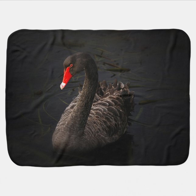 Beautiful Black Swan with a Bright Red Beak Baby Blanket (Horizontal)