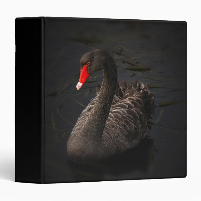 Beautiful Black Swan with a Bright Red Beak Binder (Front/Spine)