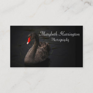 Beautiful Black Swan with a Bright Red Beak Business Card