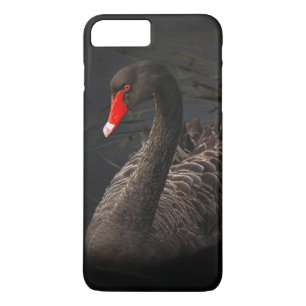 Beautiful Black Swan with a Bright Red Beak iPhone 8 Plus/7 Plus Case