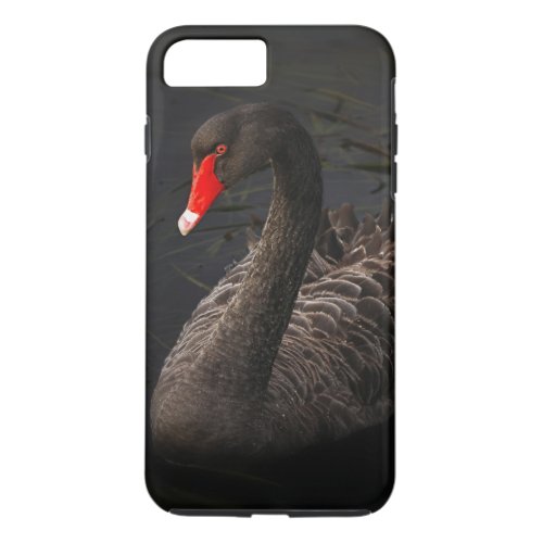 Beautiful Black Swan with a Bright Red Beak iPhone 8 Plus7 Plus Case