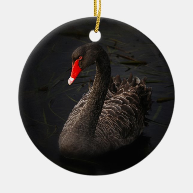 Beautiful Black Swan with a Bright Red Beak Ceramic Ornament (Front)