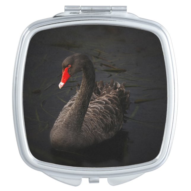 Beautiful Black Swan with a Bright Red Beak Compact Mirror (Front)