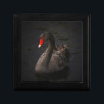 Beautiful Black Swan with a Bright Red Beak Gift Box<br><div class="desc">An elegant moody atmosphere with a touch of class. A fabulous gorgeous black swan floating on a river. The soft faded edges and the intense dark tones of this photo contrast sharply with this swans vivid red beak,  making this a striking,  sublime,  transcendent nature image.</div>