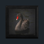 Beautiful Black Swan with a Bright Red Beak Gift Box<br><div class="desc">An elegant moody atmosphere with a touch of class. A fabulous gorgeous black swan floating on a river. The soft faded edges and the intense dark tones of this photo contrast sharply with this swans vivid red beak,  making this a striking,  sublime,  transcendent nature image.</div>