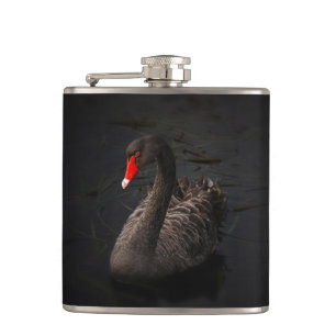 Beautiful Black Swan with a Bright Red Beak Hip Flask