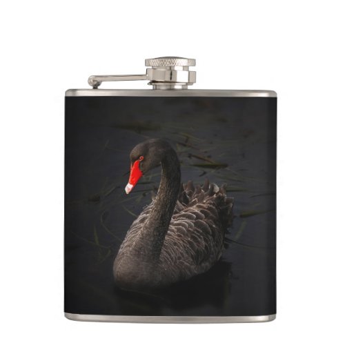 Beautiful Black Swan with a Bright Red Beak Hip Flask