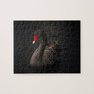 Beautiful Black Swan with a Bright Red Beak Jigsaw Puzzle