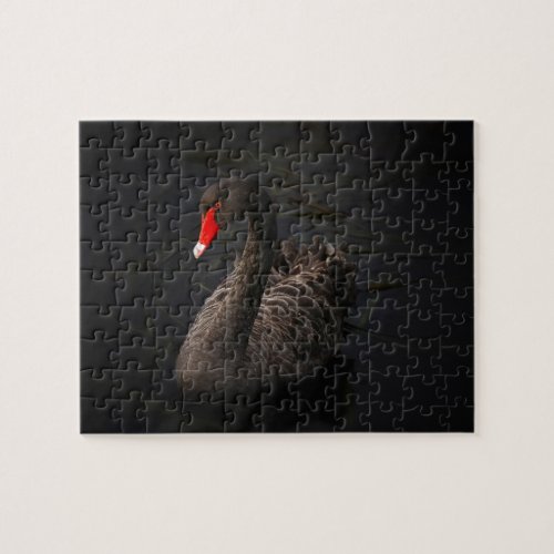 Beautiful Black Swan with a Bright Red Beak Jigsaw Puzzle