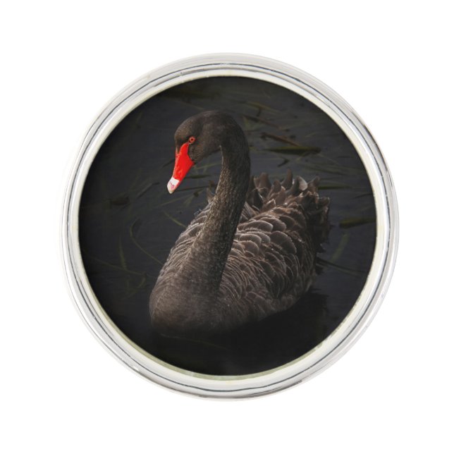 Beautiful Black Swan with a Bright Red Beak Lapel Pin (Front)