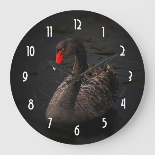 Beautiful Black Swan with a Bright Red Beak Large Clock