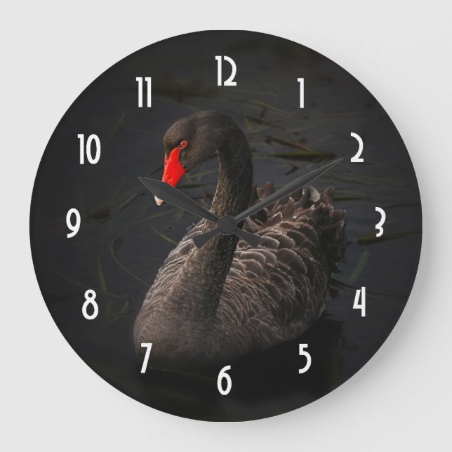 Beautiful Black Swan with a Bright Red Beak Large Clock (Front)