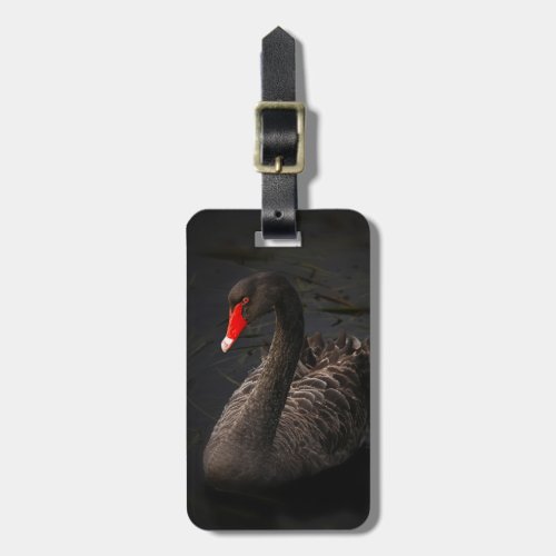 Beautiful Black Swan with a Bright Red Beak Luggage Tag