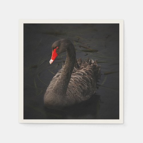 Beautiful Black Swan with a Bright Red Beak Napkins