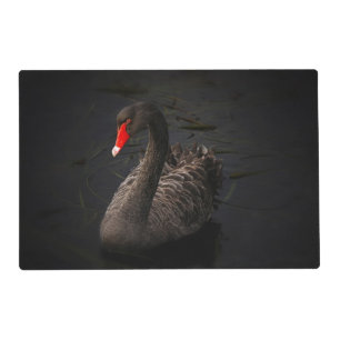 Beautiful Black Swan with a Bright Red Beak Placemat