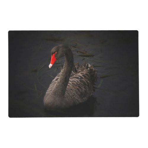 Beautiful Black Swan with a Bright Red Beak Placemat