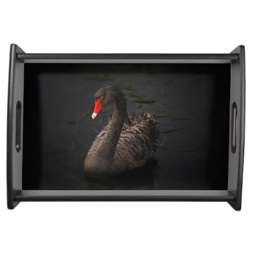 Beautiful Black Swan with a Bright Red Beak Serving Tray