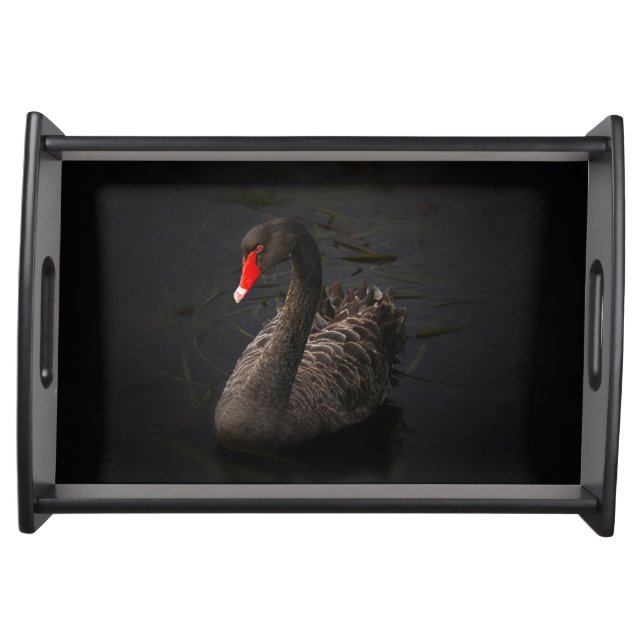 Beautiful Black Swan with a Bright Red Beak Serving Tray (Front)