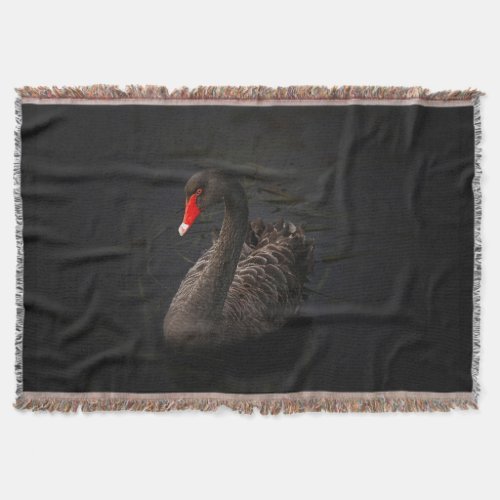Beautiful Black Swan with a Bright Red Beak Throw Blanket