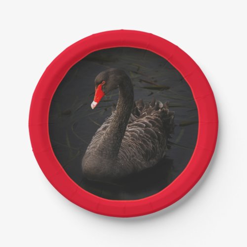 Beautiful Black Swan with a Bright Red Border Paper Plates