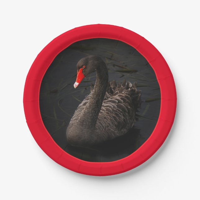 Beautiful Black Swan with a Bright Red Border Paper Plates (Front)