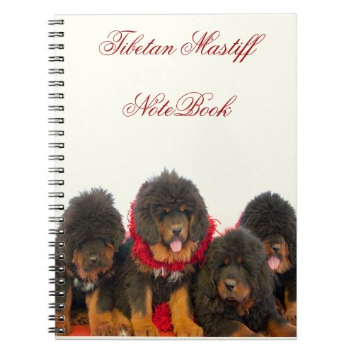 Beautiful Black Tibetan Mastiff NoteBook