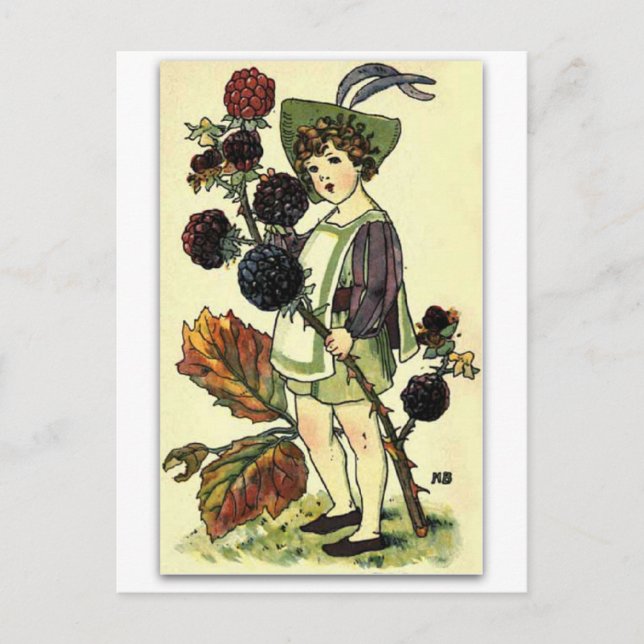 Beautiful Blackberry by NELLIE BENSON Postcard (Front)