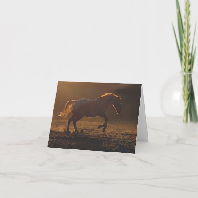 Beautiful Blank Appaloosa Horse Note Card (Front)