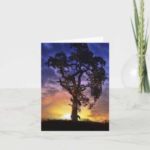 Beautiful Blank Horse and Oak Tree Note Card