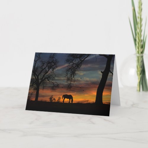 Beautiful Blank Horse Note Cards