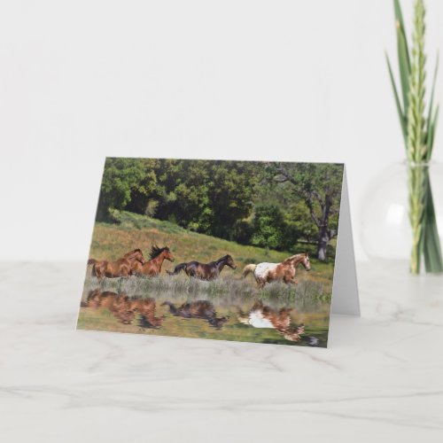 Beautiful Blank Horse Note Greeting Cards