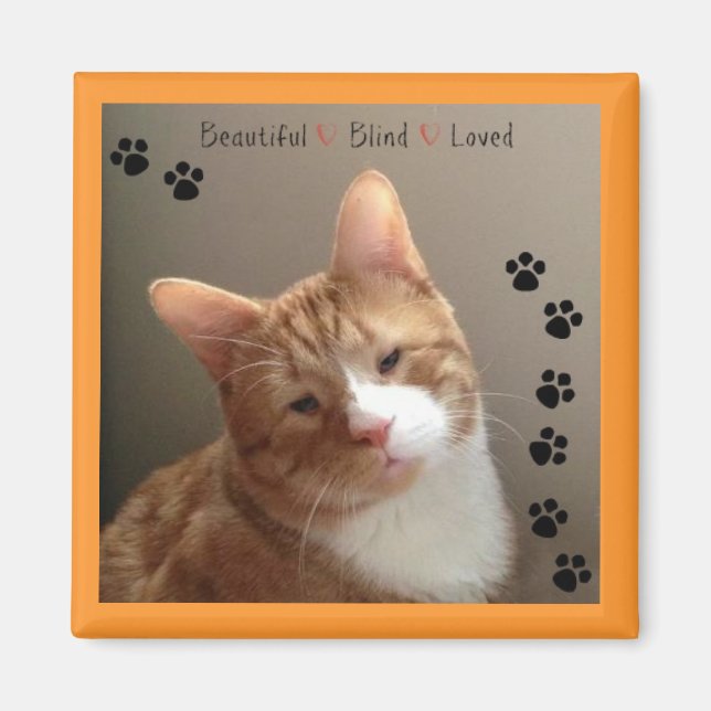 Beautiful Blind Loved Magnet (Front)