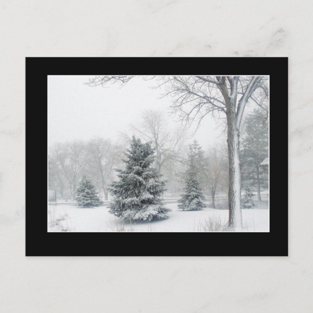 Beautiful Blizzard Postcard (Front)