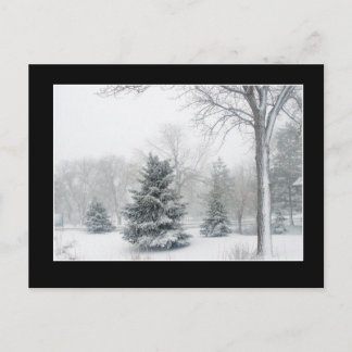 Beautiful Blizzard Postcard - Customized