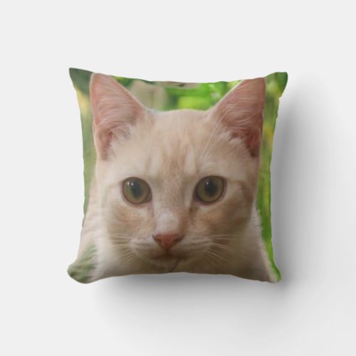 Beautiful blonde cat on a green background throw pillow