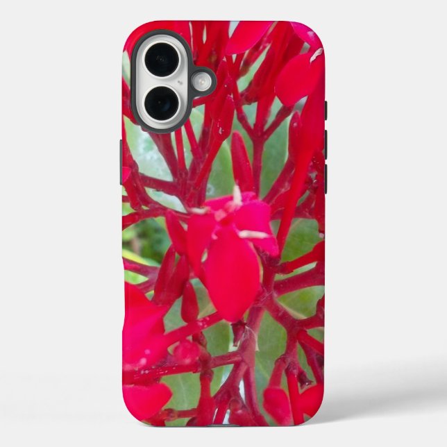 Beautiful Blood Flower Milkweed Art Print/Graphic Case-Mate iPhone Case (Back)