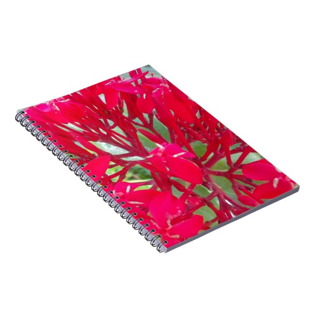 Beautiful Blood Flower Milkweed Art Print/Graphic Notebook (Right Side)