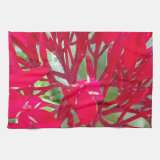 Beautiful Blood Flower Milkweed Art Print/Graphic Towel