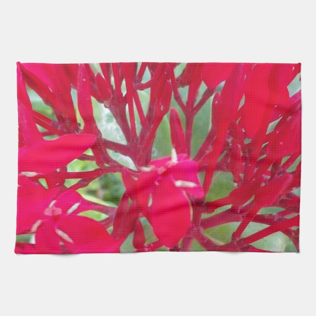 Beautiful Blood Flower Milkweed Art Print/Graphic Towel (Horizontal)