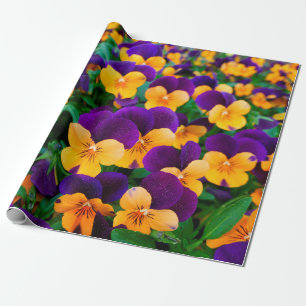Beautiful blooming pansies in the garden wrapping paper