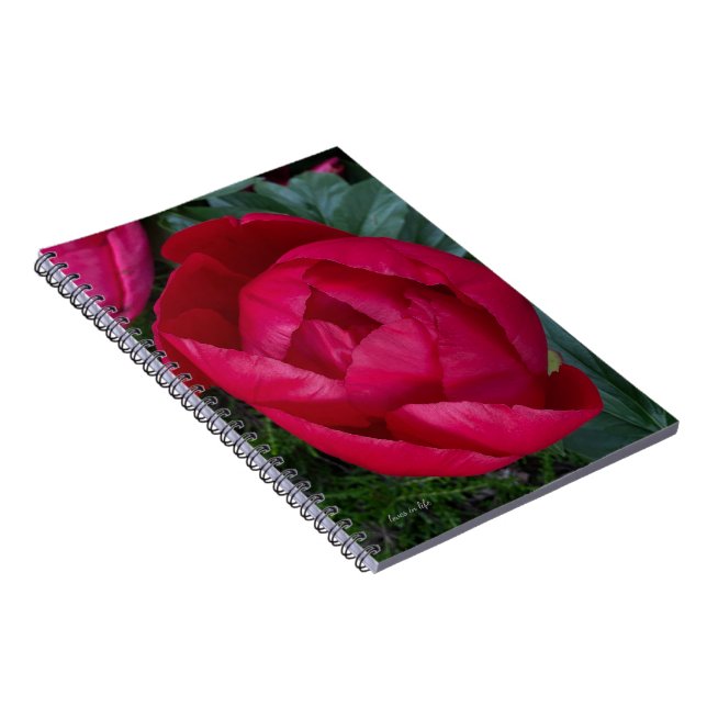 Beautiful Blooming Red Peony  Notebook (Right Side)
