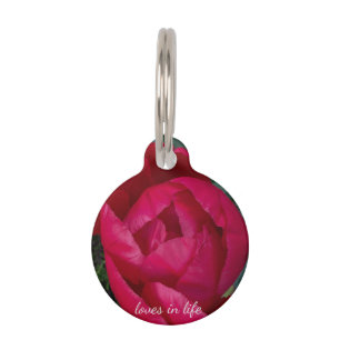 Beautiful Blooming Red Peony Pet ID Tag